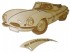 auto Jaguar